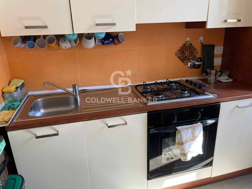 immagine annuncio 4 di 14