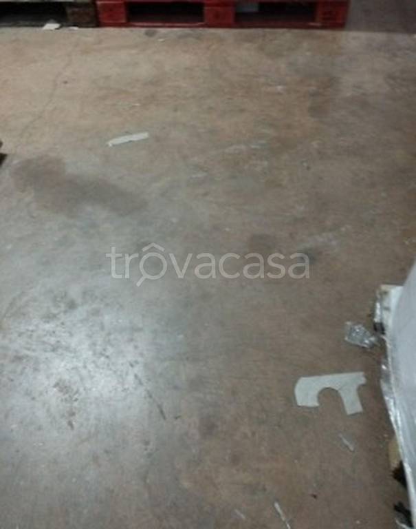 immagine annuncio 8 di 12