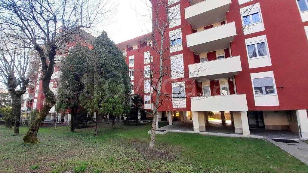 immagine annuncio 8 di 15
