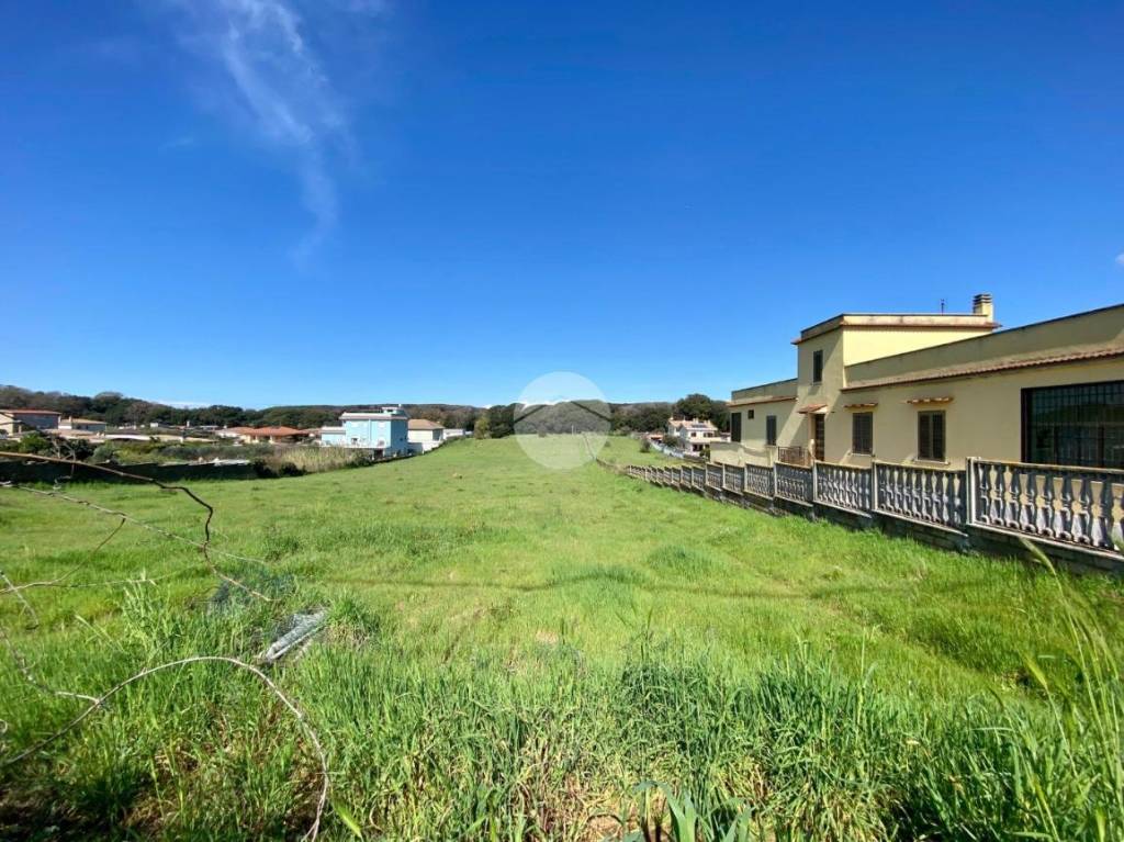 immagine annuncio 5 di 13