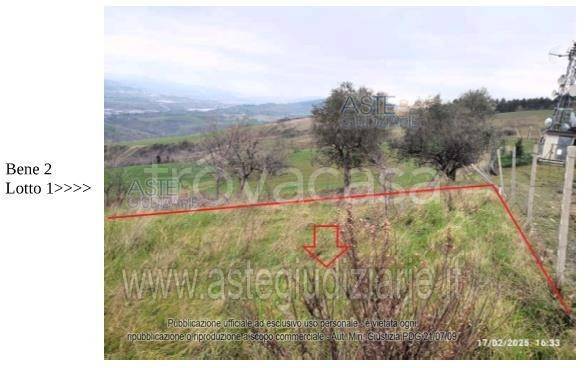 immagine annuncio 8 di 11