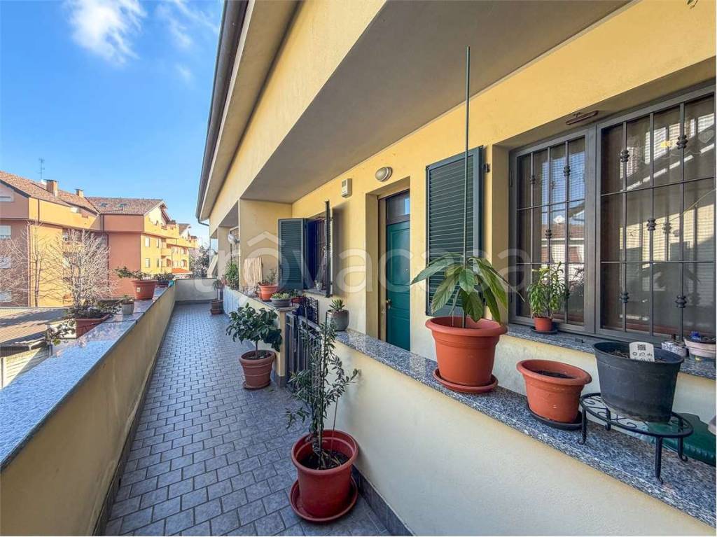 immagine annuncio 11 di 14