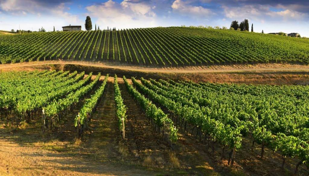 immagine annuncio 3 di 9