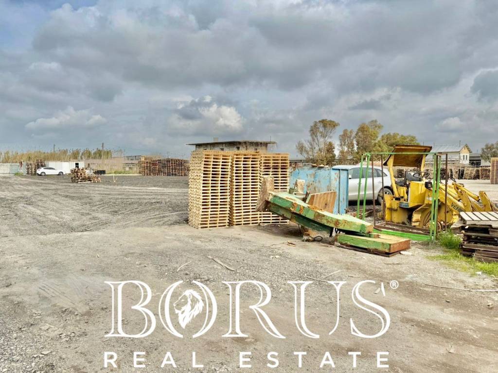 immagine annuncio 1 di 14