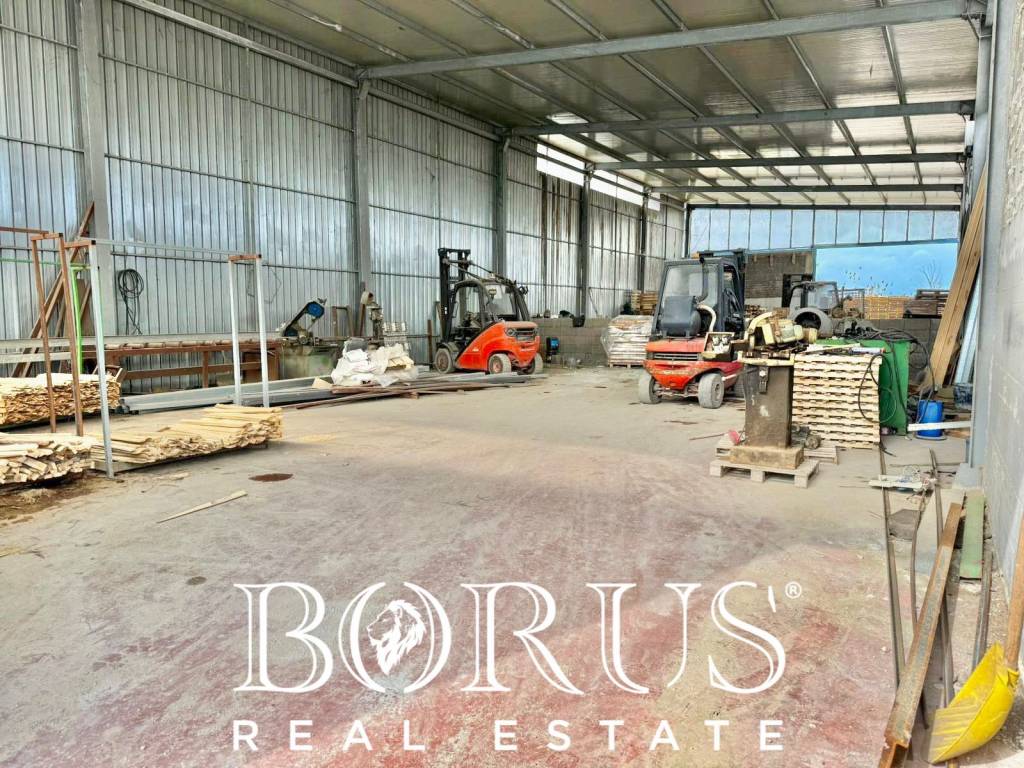 immagine annuncio 2 di 14