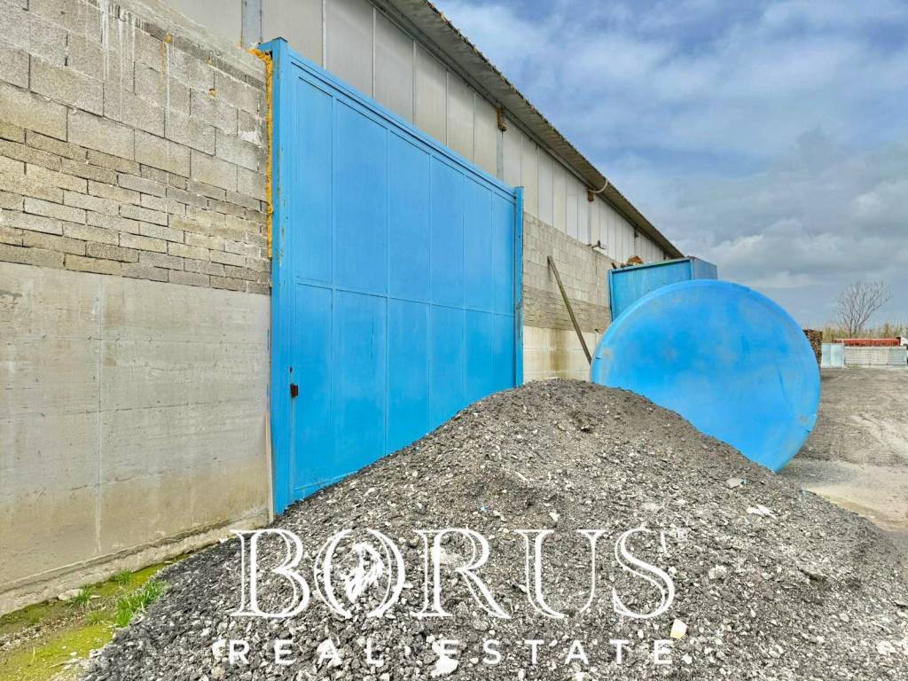 immagine annuncio 3 di 14