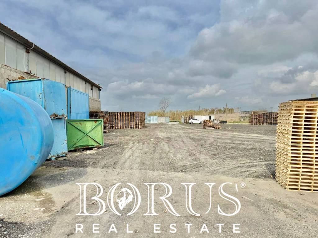 immagine annuncio 4 di 14