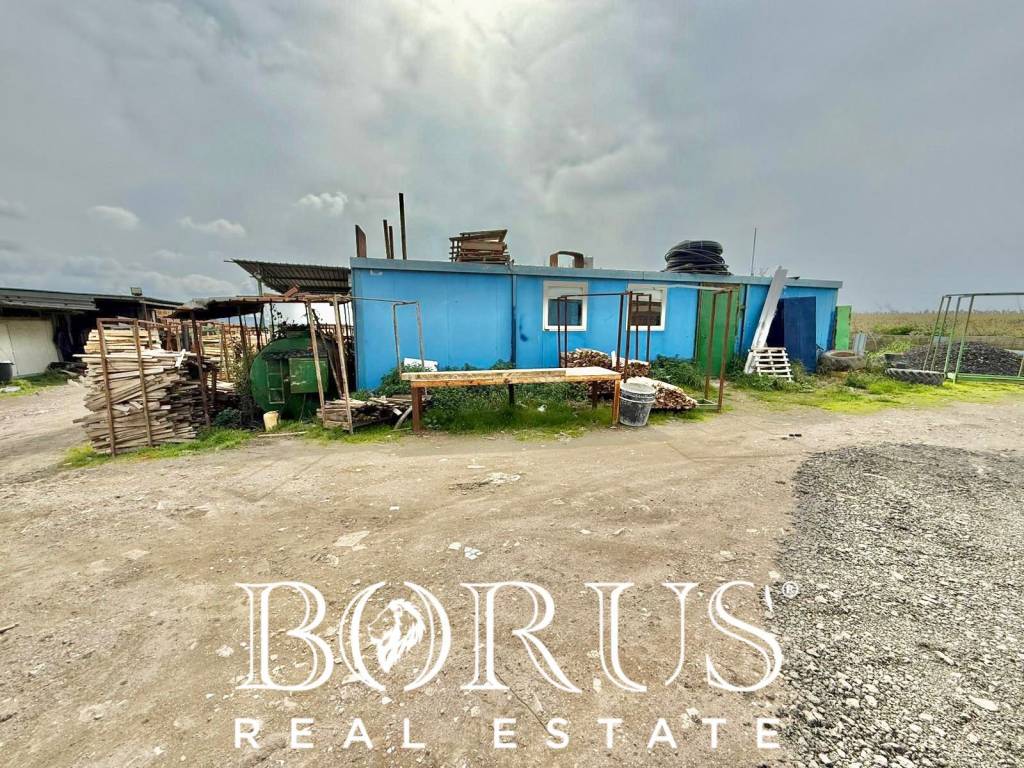 immagine annuncio 5 di 14