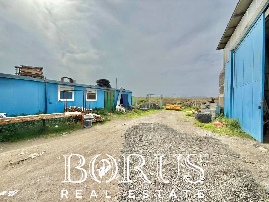 immagine annuncio 6 di 14