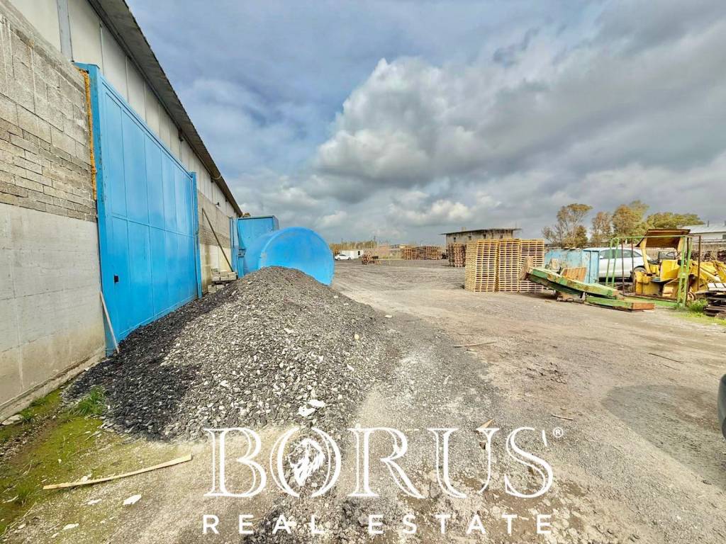 immagine annuncio 7 di 14