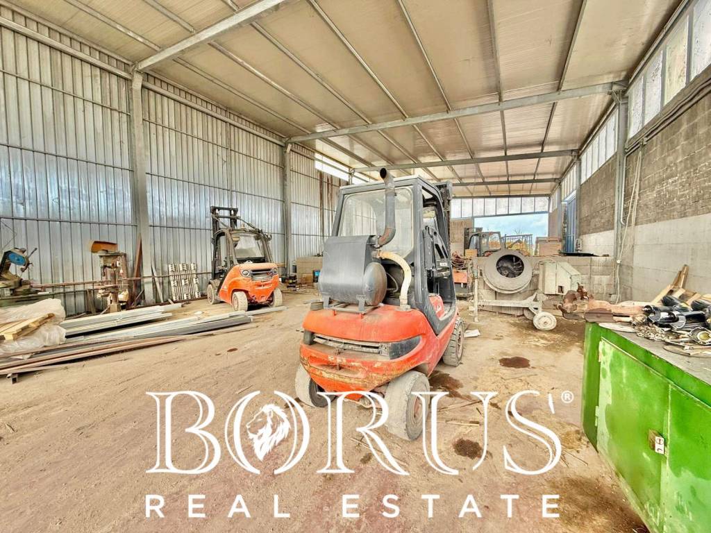 immagine annuncio 10 di 14