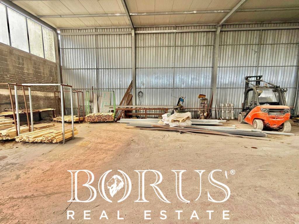 immagine annuncio 11 di 14