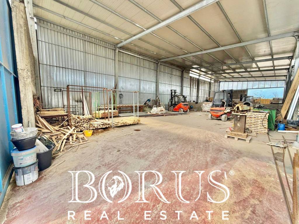 immagine annuncio 12 di 14