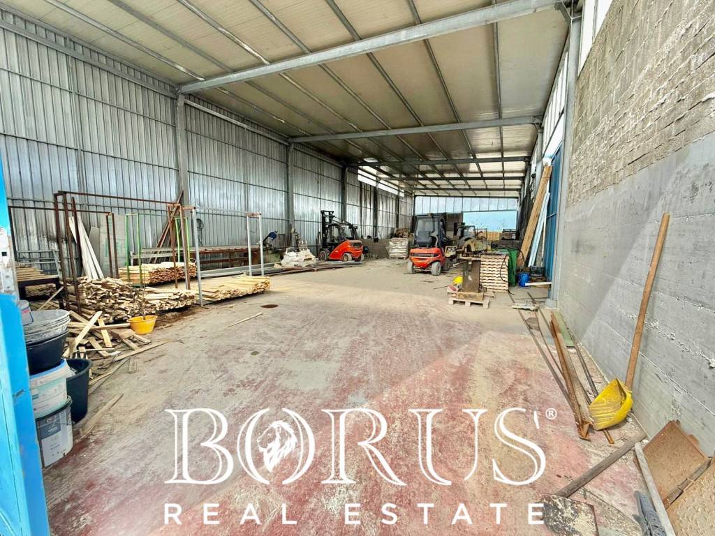 immagine annuncio 13 di 14