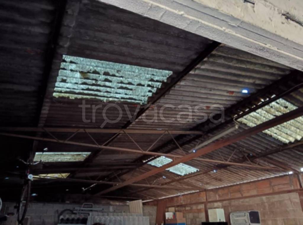 immagine annuncio 4 di 11