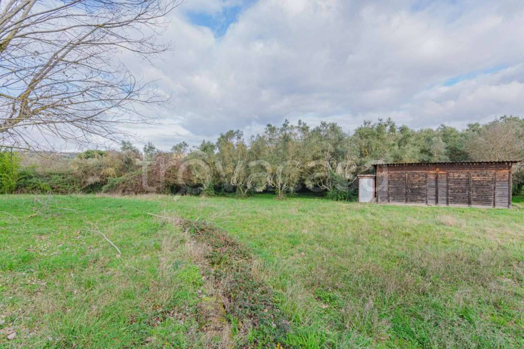 immagine annuncio 1 di 7