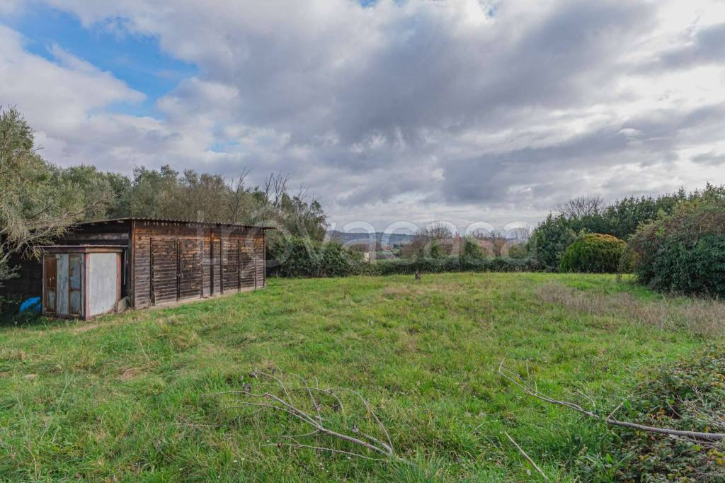 immagine annuncio 3 di 7