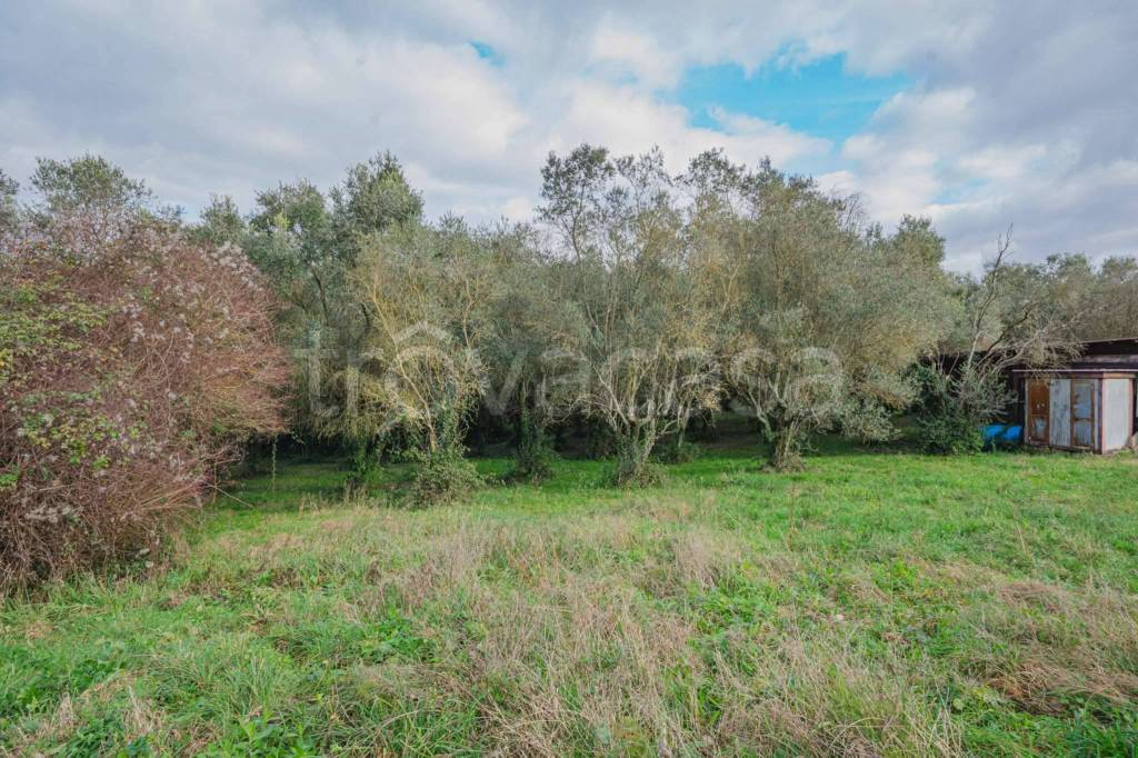 immagine annuncio 4 di 7