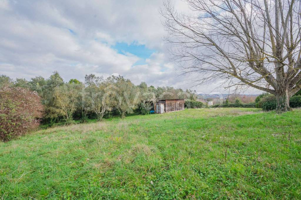 immagine annuncio 5 di 7