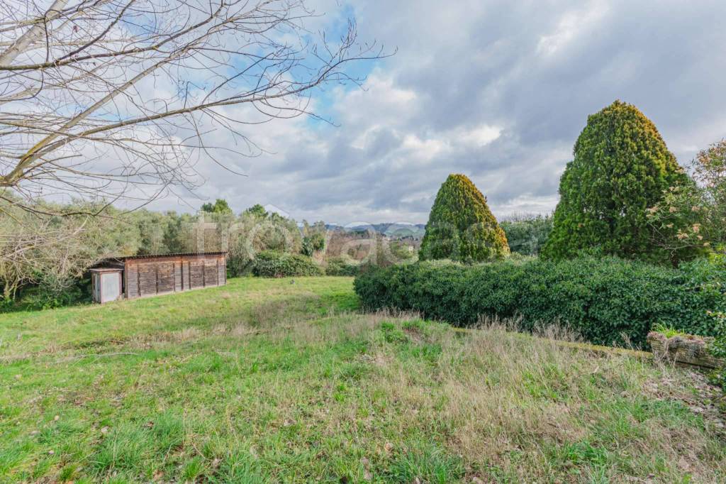 immagine annuncio 6 di 7