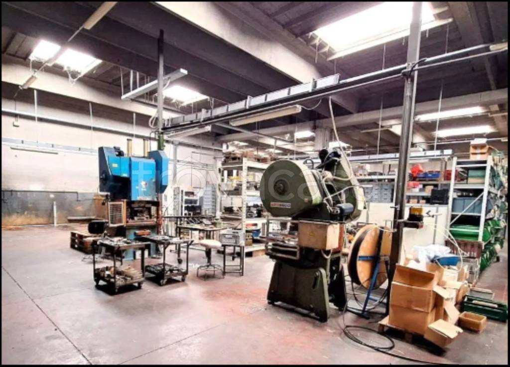 immagine annuncio 6 di 15