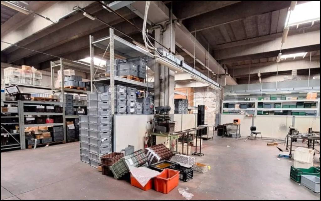 immagine annuncio 9 di 15