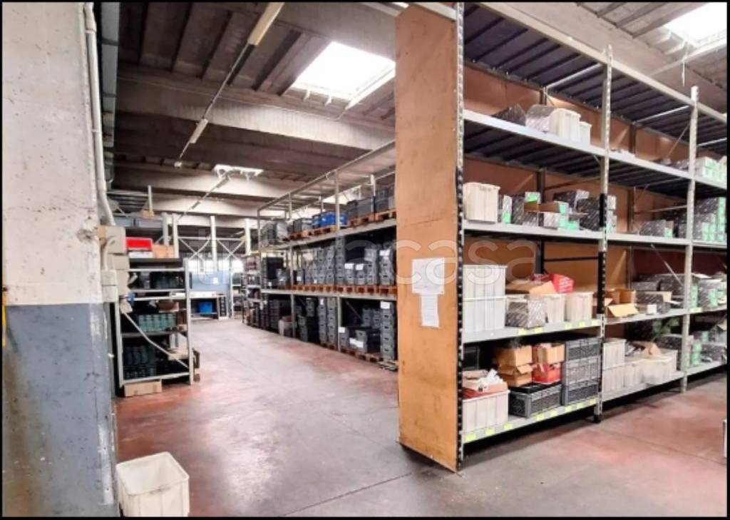 immagine annuncio 12 di 15