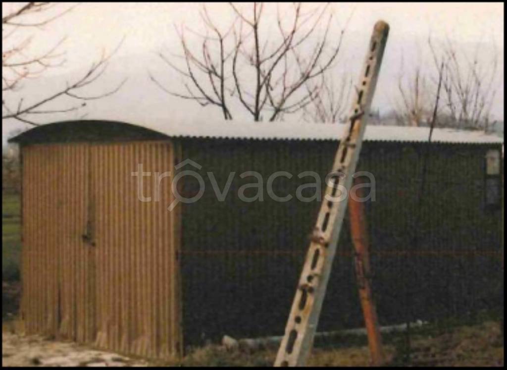 immagine annuncio 4 di 11