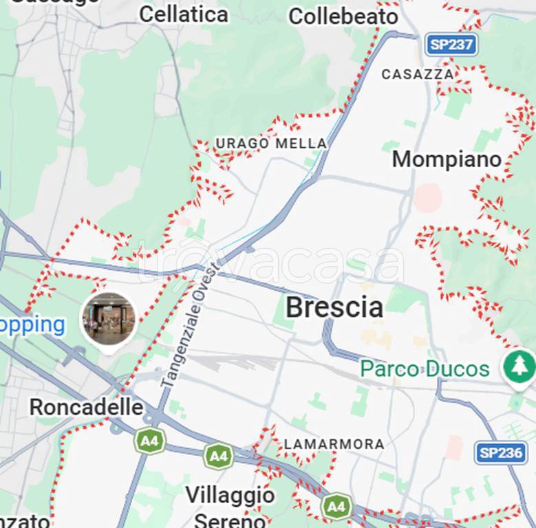 immagine annuncio 2 di 12