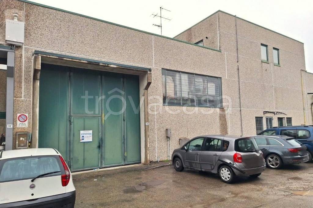 immagine annuncio 2 di 15