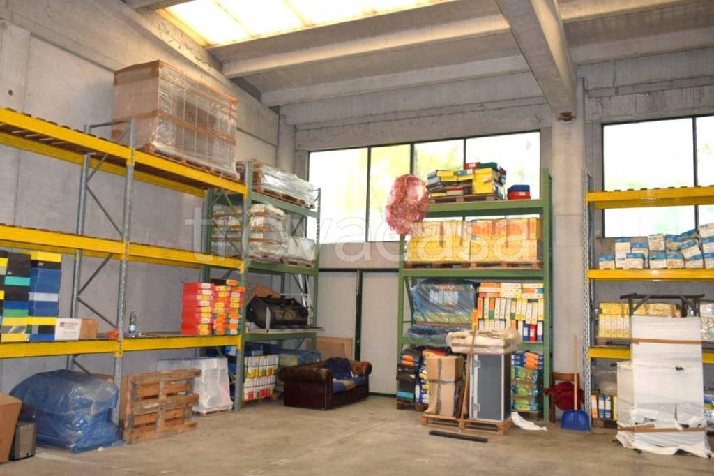 immagine annuncio 10 di 15