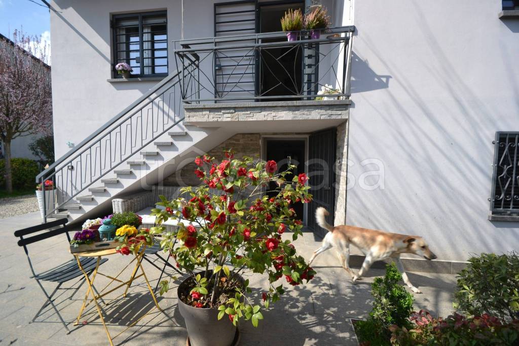 immagine annuncio 10 di 15