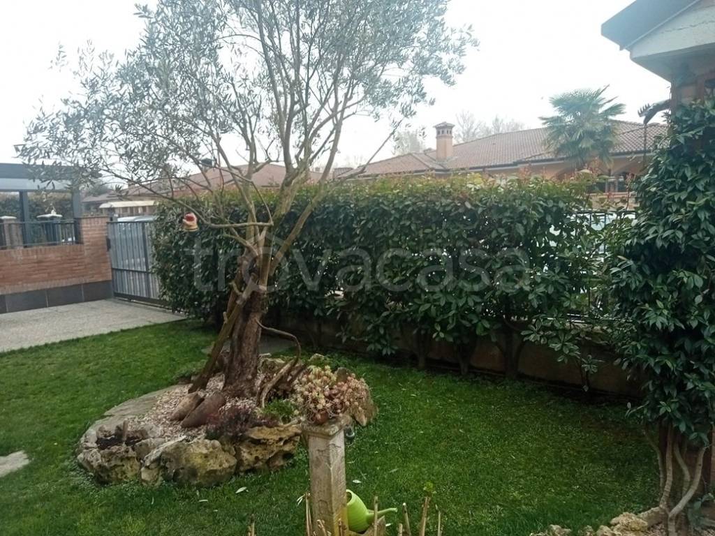 immagine annuncio 11 di 15