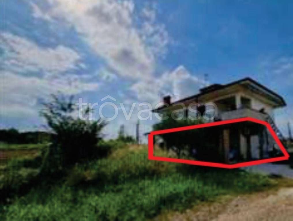 immagine annuncio 8 di 12