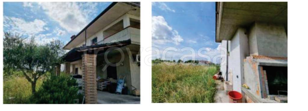 immagine annuncio 11 di 12