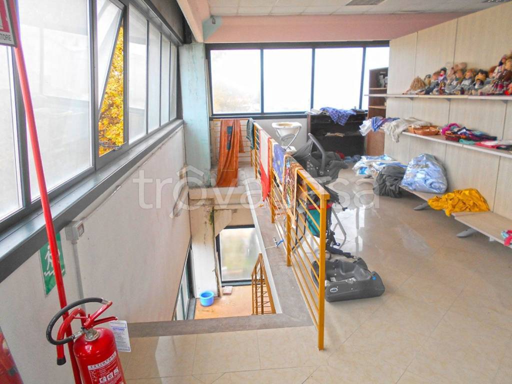 immagine annuncio 2 di 11