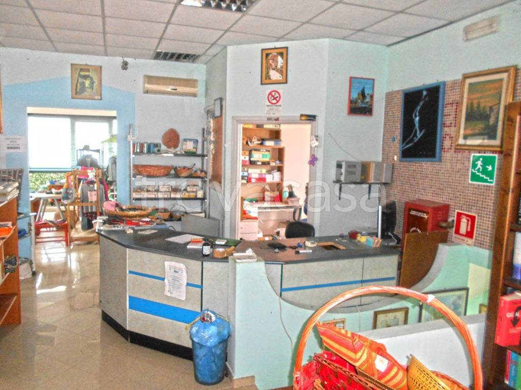 immagine annuncio 3 di 11