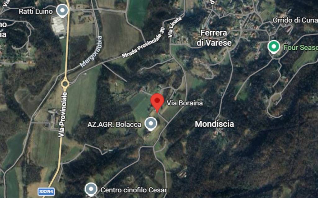 immagine annuncio 4 di 12