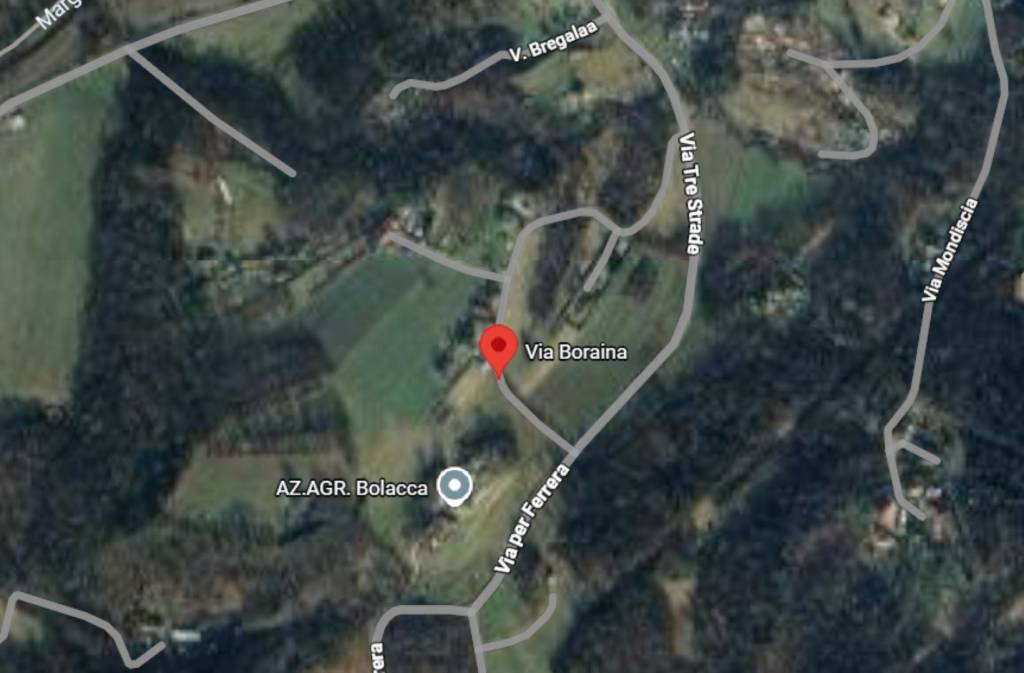 immagine annuncio 5 di 12