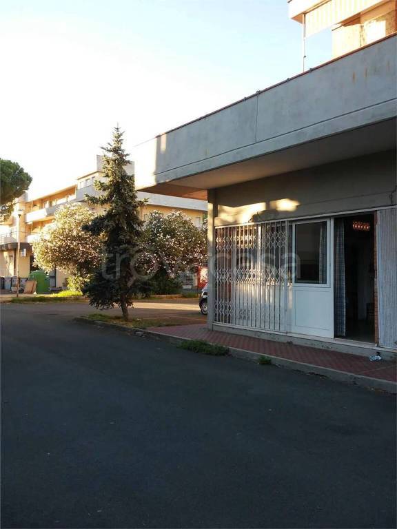 immagine annuncio 1 di 7