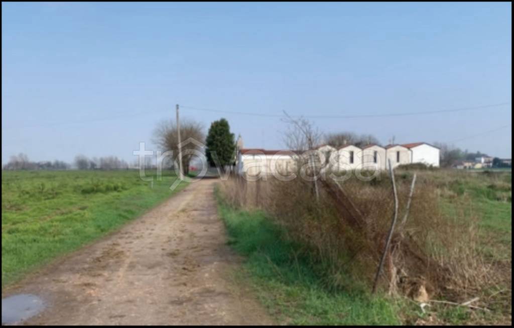 immagine annuncio 1 di 12