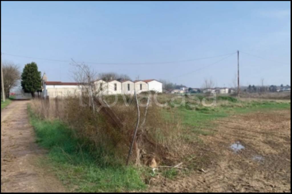 immagine annuncio 2 di 12