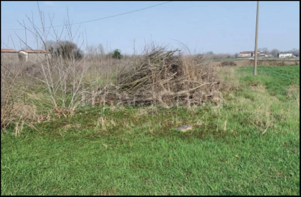 immagine annuncio 5 di 12