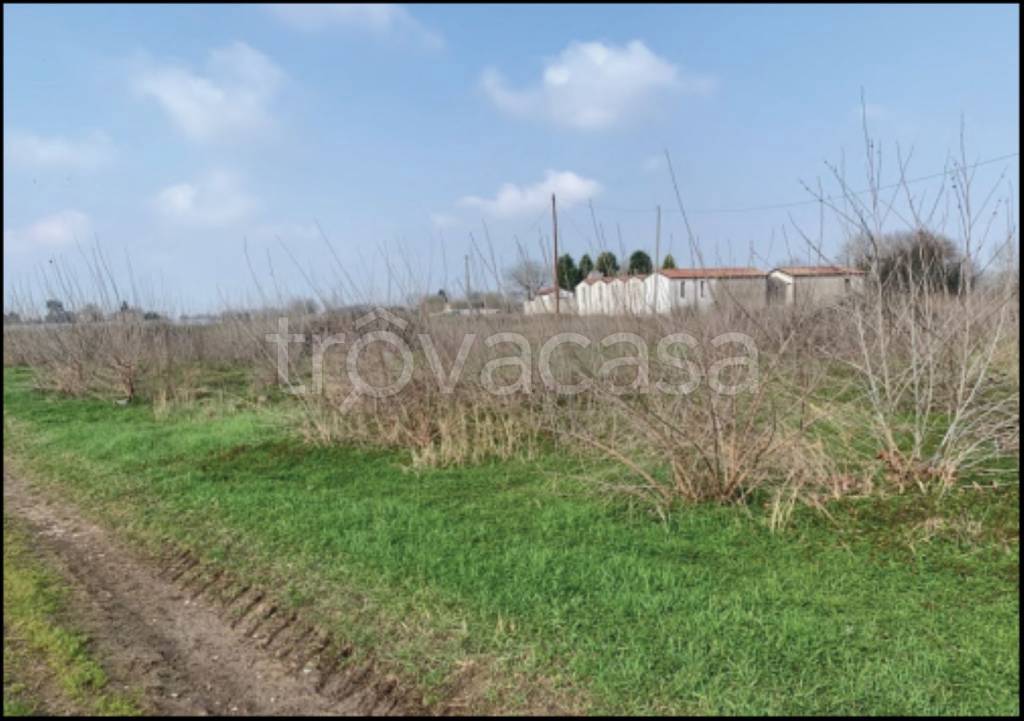 immagine annuncio 6 di 12