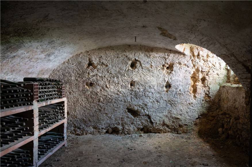 immagine annuncio 4 di 14