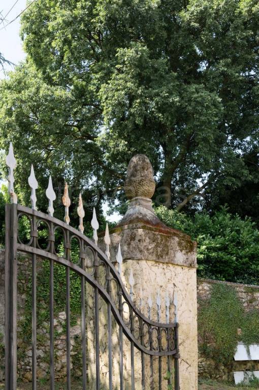 immagine annuncio 10 di 14