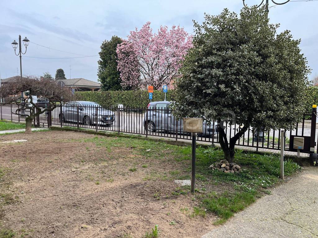 immagine annuncio 11 di 15