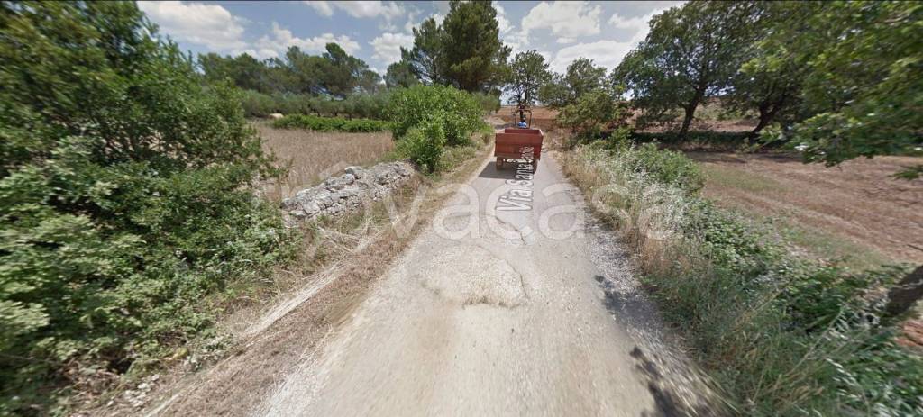 immagine annuncio 5 di 12