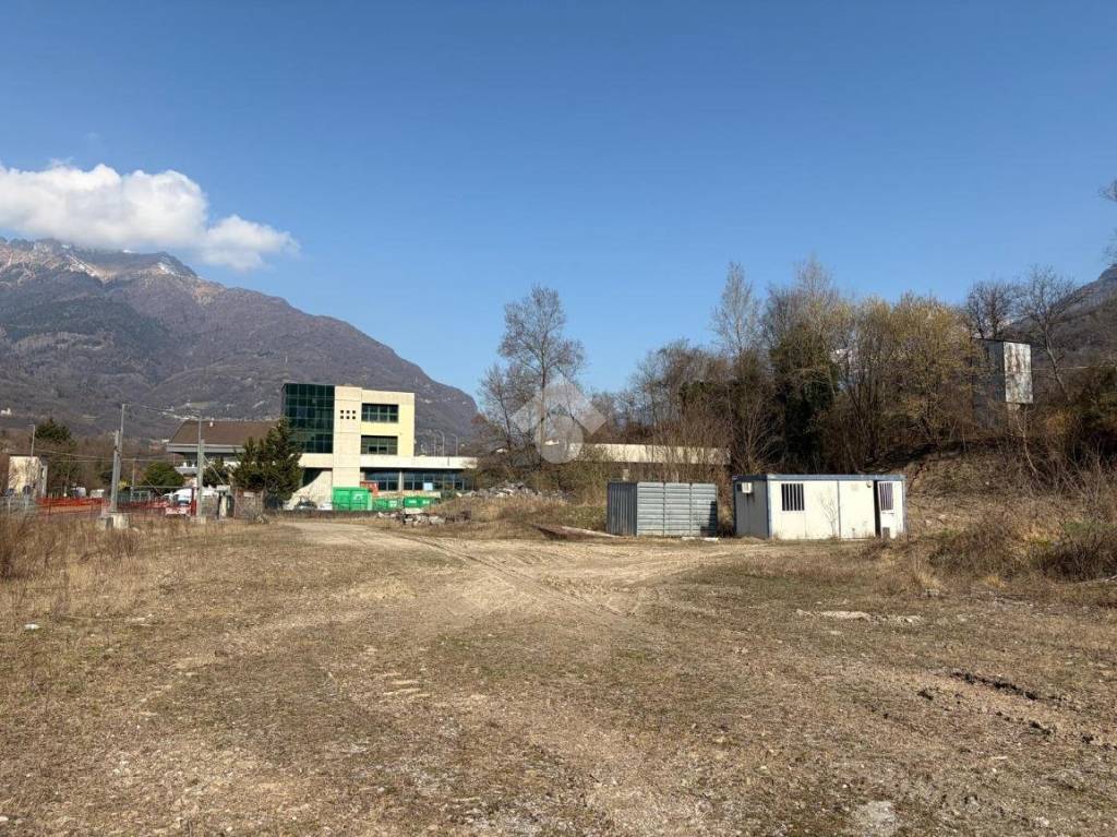 immagine annuncio 12 di 15