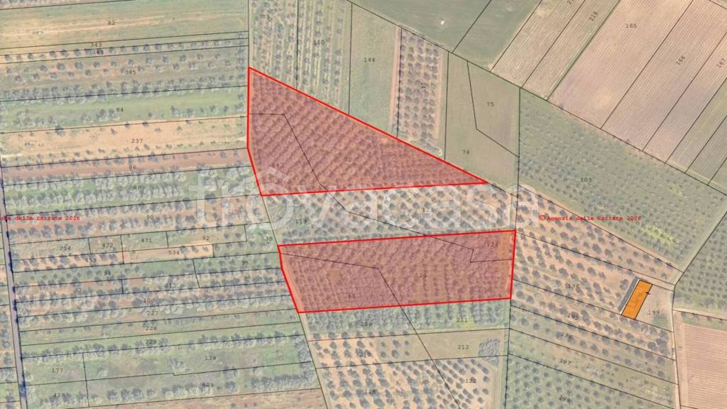 immagine annuncio 4 di 7